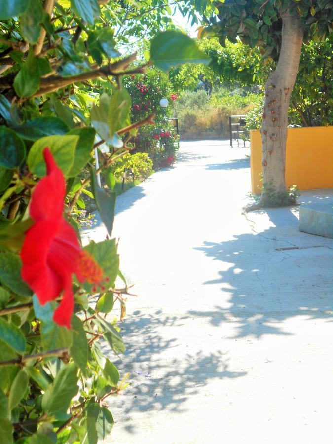 Villa Sofia Ialysós Eksteriør bilde